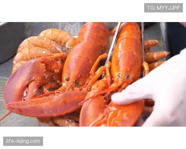 胡金秋家里的那个地下酒窖也太豪横了，谁想到篮球好手私生活这么奢侈